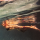 Image for article titled May Anthropologie Catalog: Totally Watered Down